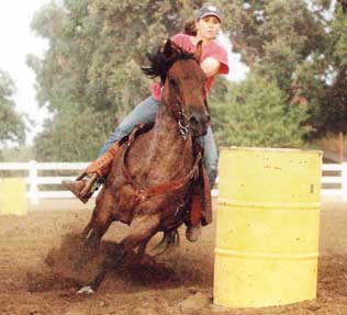 2011 Futurity Colt Red Hot Howie aka'Tom'